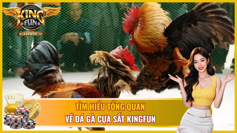 Định nghĩa và đặc trưng của đá gà cựa sắt Kingfun
