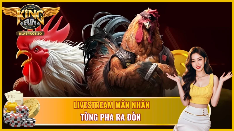 Livestream trực tiếp với những pha đá gà Philippines siêu cấp