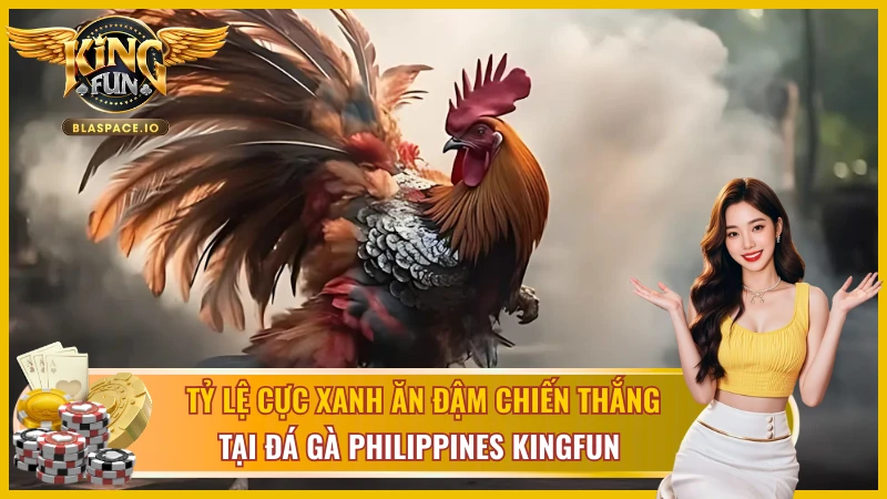 Tỷ lệ ăn cược cực xanh của đá gà Philippines