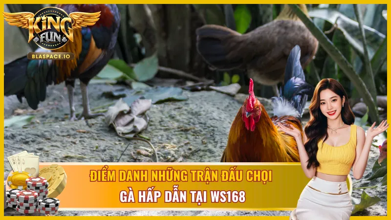 Những trận chiến hấp dẫn nhất tại WS168 đá gà