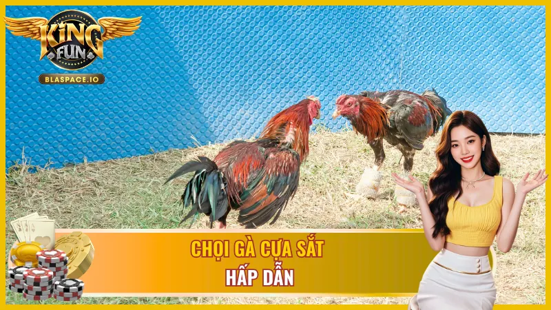 Trải nghiệm trận chiến cựa sắt của WS168 đá gà